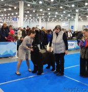 Превью фото № 241694