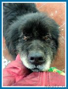 Превью фото № 241705