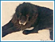 Превью фото № 241706