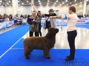 Превью фото № 241712