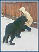 Превью фото № 241717