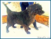 Превью фото № 241718