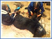 Превью фото № 241722