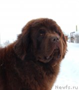 Превью фото № 241728