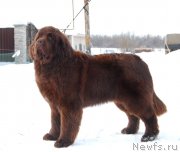 Превью фото № 241729