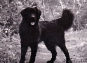 Превью фото № 241758