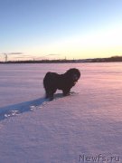 Превью фото № 241765