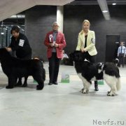 Превью фото № 241796