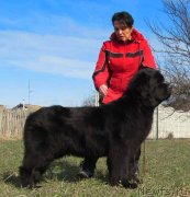 Превью фото № 241799