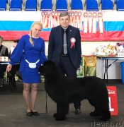 Превью фото № 241847