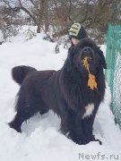 Превью фото № 241849