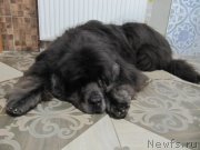 Превью фото № 241853