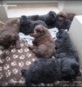 Превью фото № 241860