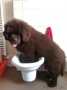 Превью фото № 241861