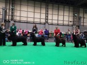 Превью фото № 241921