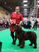 Превью фото № 241924