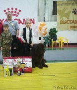 Превью фото № 241957