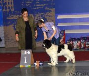 Превью фото № 241985