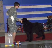 Превью фото № 241987