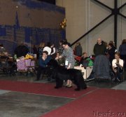 Превью фото № 241995