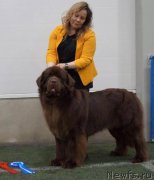 Превью фото № 242001