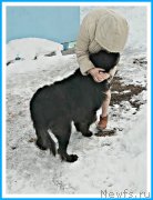 Превью фото № 242030