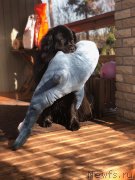 Превью фото № 242034