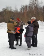 Превью фото № 242044