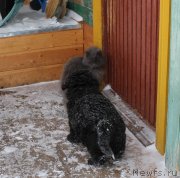 Превью фото № 242055