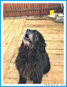 Превью фото № 242078