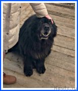 Превью фото № 242079