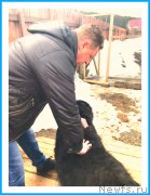 Превью фото № 242080