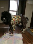 Превью фото № 242093