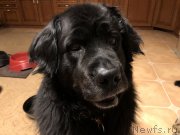 Превью фото № 242097