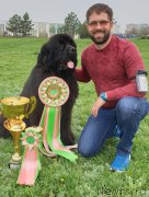 Превью фото № 242313