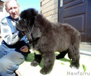 Превью фото № 242315