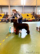 Превью фото № 242321