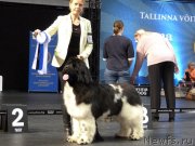 Превью фото № 242333