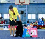 Превью фото № 242354