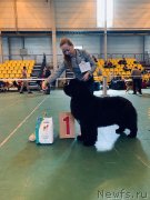 Превью фото № 242396