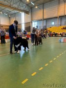 Превью фото № 242399