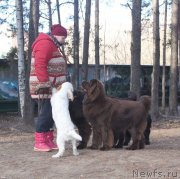 Превью фото № 242405