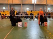 Превью фото № 242423