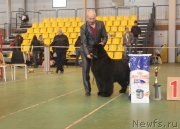 Превью фото № 242424