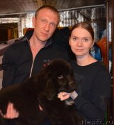 Превью фото № 242434