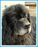 Превью фото № 242438