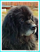 Превью фото № 242441