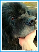 Превью фото № 242442