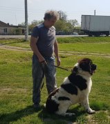 Превью фото № 242458