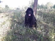 Превью фото № 242472